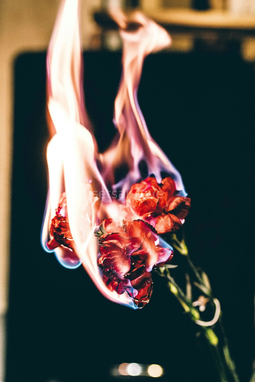 Passion